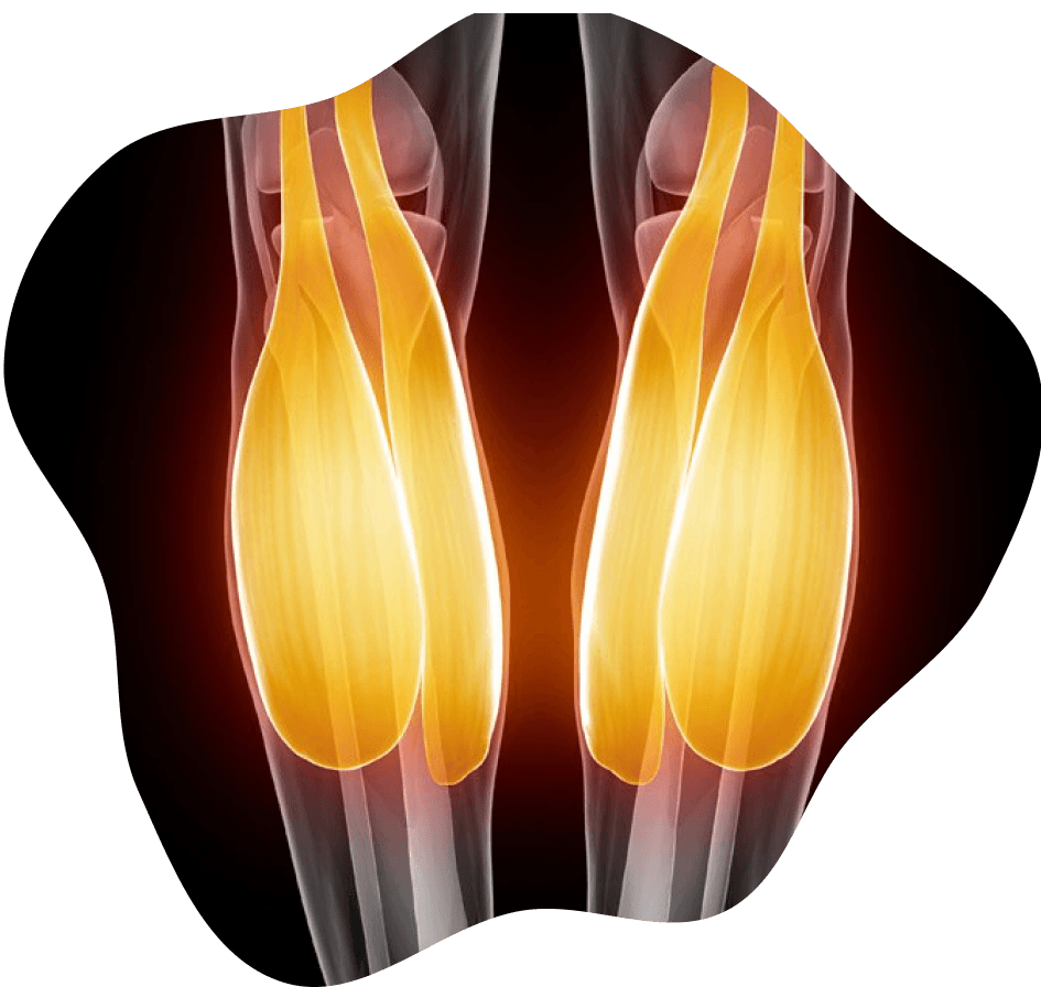 Physiotherapy assessment for muscle and joint pain